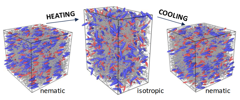 Image depicting nematic liquid crystal elastomers